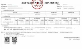 怎么查询社保缴费记录